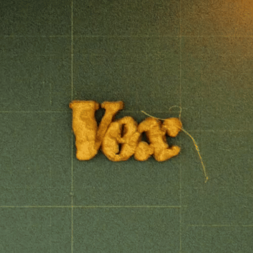 Image of a vox vid